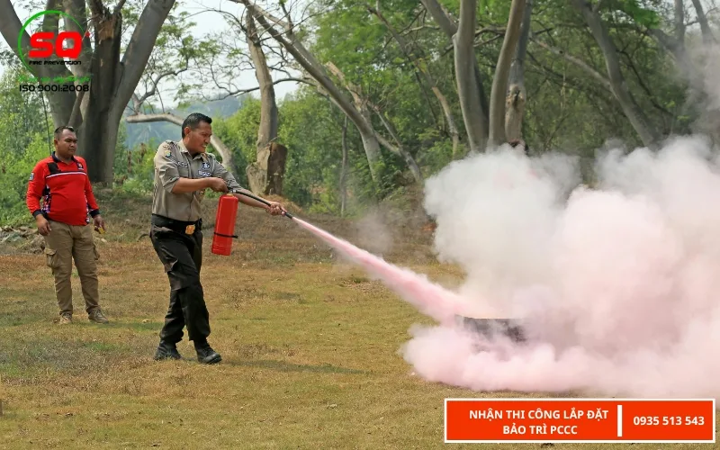 cháy rừng là gì