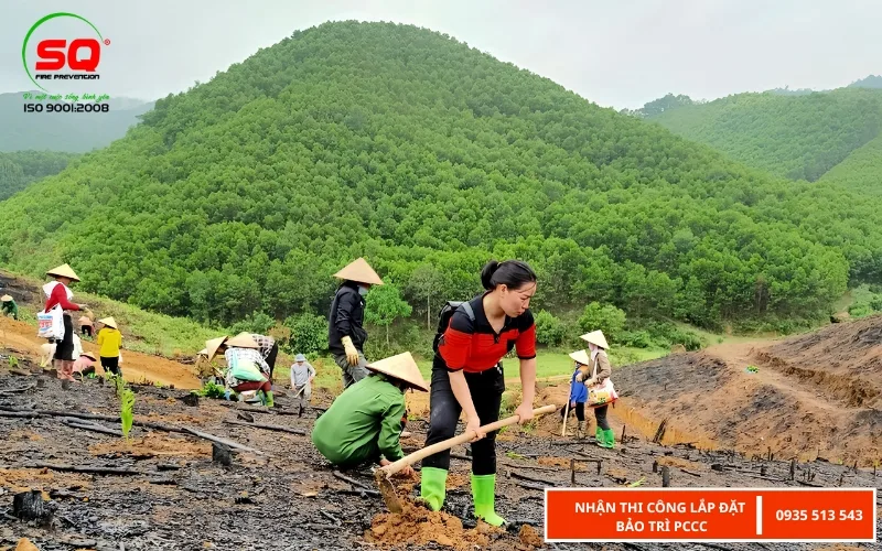 cháy rừng là gì